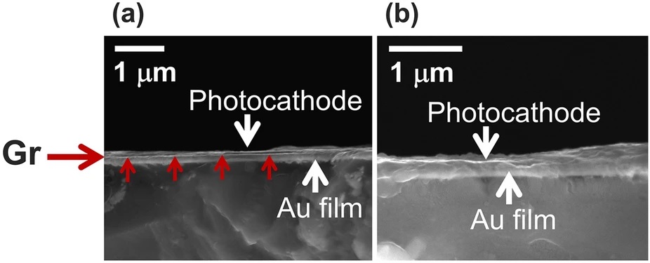 Graphene and thin nickel film as the protective encapsulation